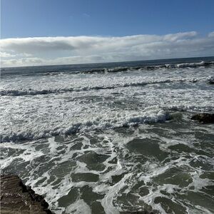 Meet your Posher, Caprice